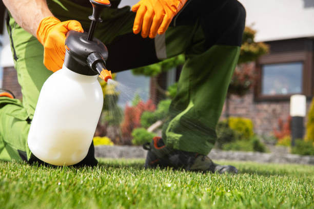 Best Emergency Pest Control  in Fort Wayne, IN