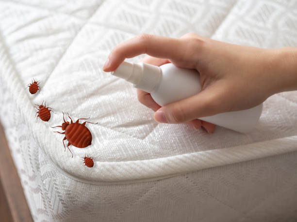 Best Best Pest Control Companies  in Fort Wayne, IN