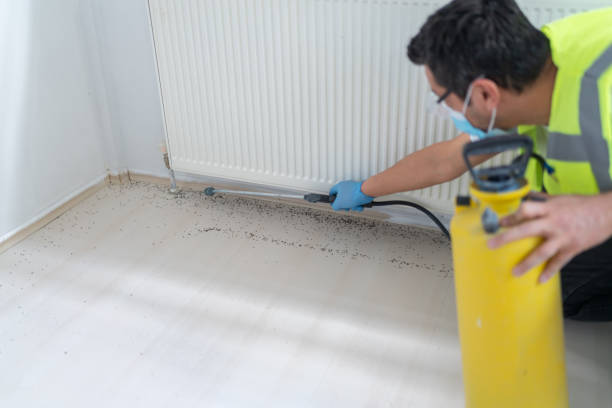 Best Bed Bug Extermination  in Fort Wayne, IN