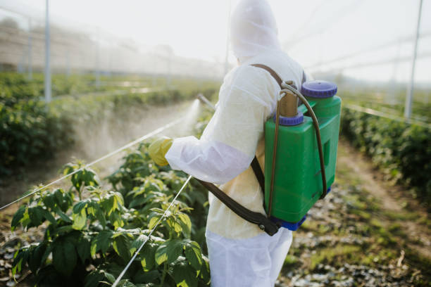 Best Pest Removal Services  in Fort Wayne, IN